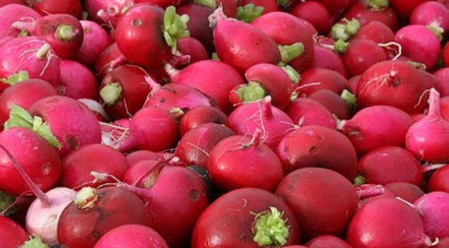 Kadirli Turpunun Faydaları