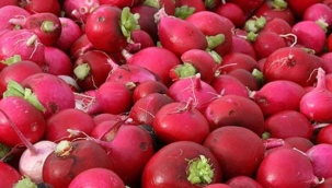 Kadirli Turpunun Faydaları