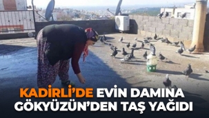 Kadirli'de Evin Damına Taş Yağdı