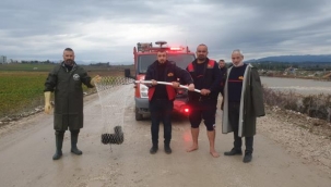 Savrun Çayında Mahsur Kalan Köpek Kurtarıldı