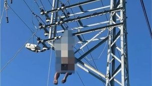 Osmaniye'de Elektirik Direğin'de Asılı Şekilde Bulundu 