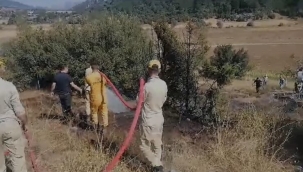 Andırın'da Akıma Kapılan Kuş Yangın Çıkarttı