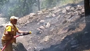 Bahçede Orman Yangını 1 Dekarlık Alan Yandı