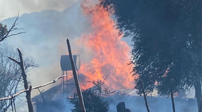 Kozan'da Orman Yangını Kontrol Altına Alındı