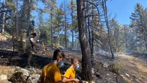 Andırın'da Orman Yangını!